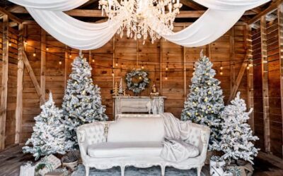 Prospect Farms Christmas Photos: What to Know Before Booking Holiday Portraits