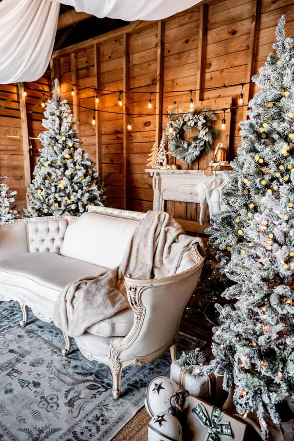 Christmas Mini Sessions - Prospect Farms in Lawrenceville