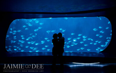 Unique Engagement Photos at the Georgia Aquarium in Atlanta