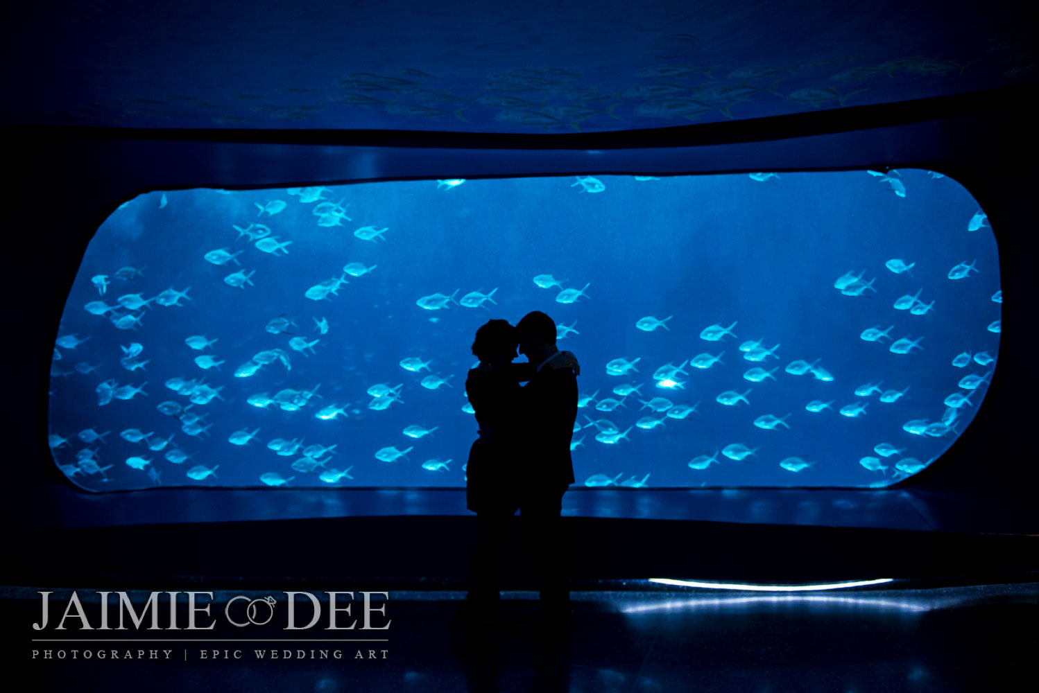 Aquarium Engagement Photos | Atlanta Wedding Photography