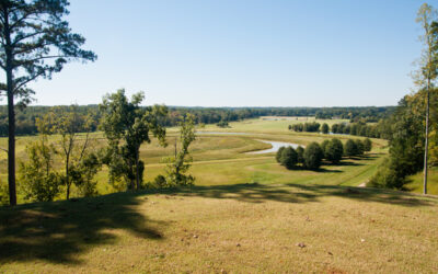 A Foxhall Resort and Sporting Club Wedding in Douglasville, GA