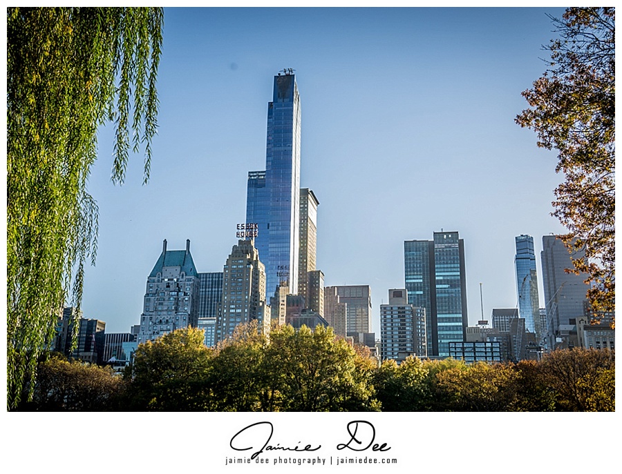 Best Places to See in Central Park | New York Wedding Photographer