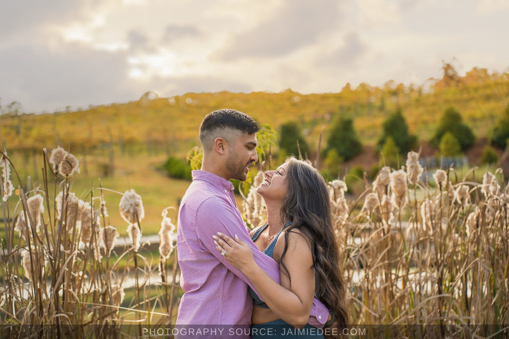 Engaged couple embracing among tall cattails with rolling hills behind them at Big Door Vineyards