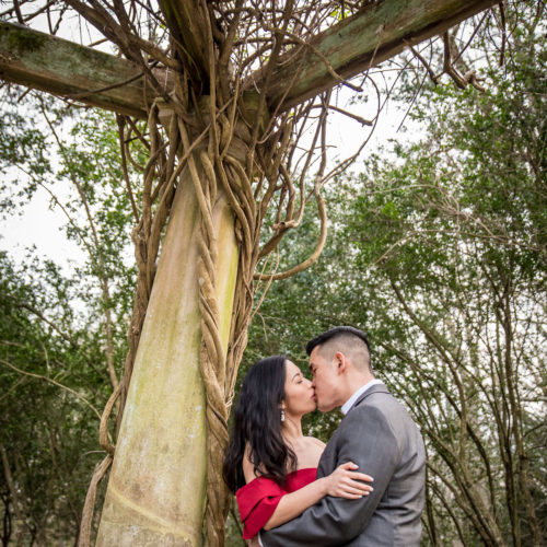 Cator-Woolford-Gardens-Engagement-Pictures-Photography