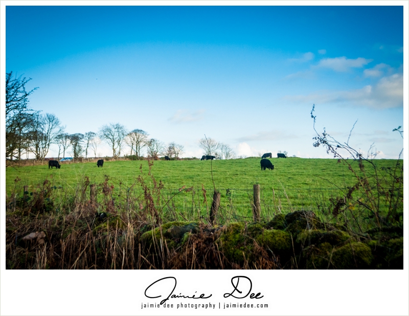 Kilwinning Scotland Landscape Photography_0013