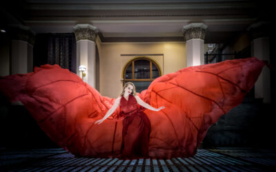 Parachute Dress Photography | St. Louis Wedding Photographers
