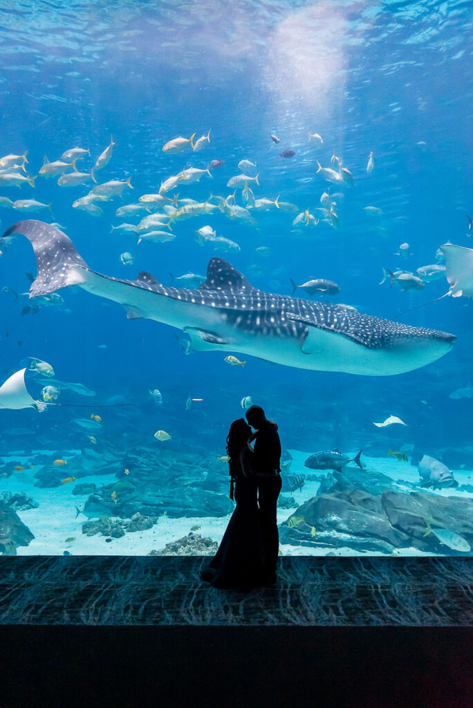 Engagement-photographers-Atlanta-Aquarium-0018