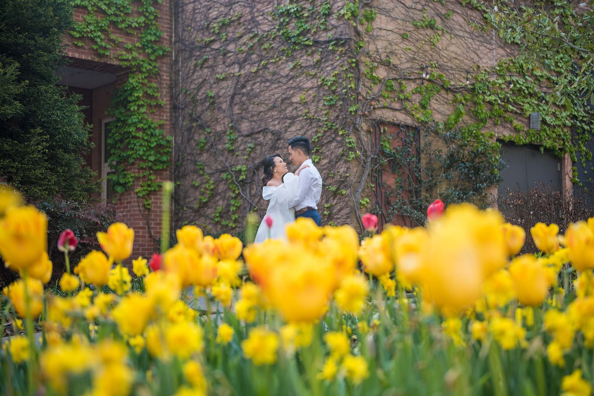 Couple embracing behind a field of yellow tulips in spring at the Atlanta Botanical Garden