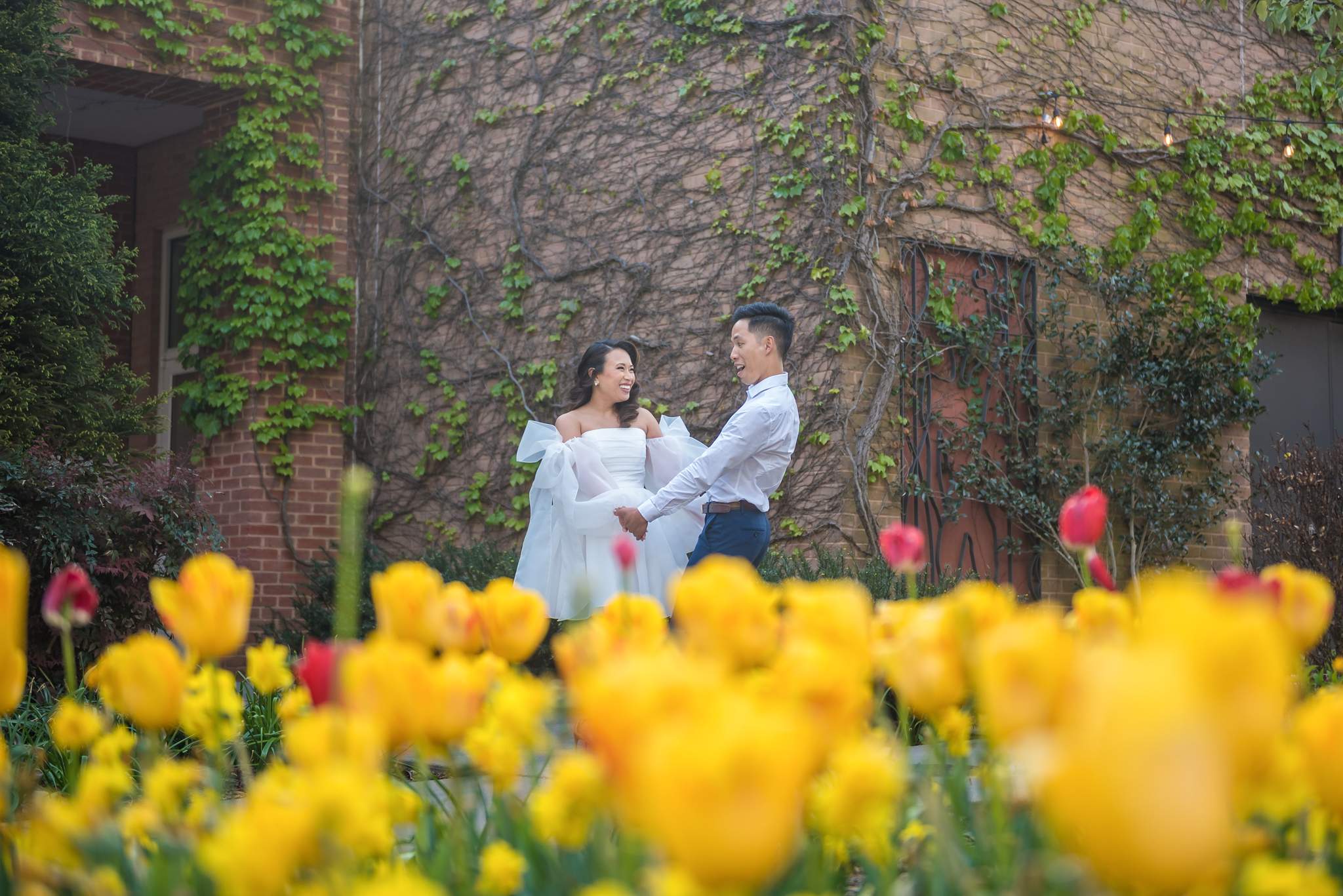 Engaged couple framed by bright yellow tulips along an ivy-covered wall