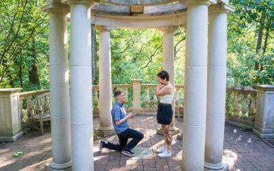 Atlanta Botanical Garden Proposal: How to Plan It and Where to Ask