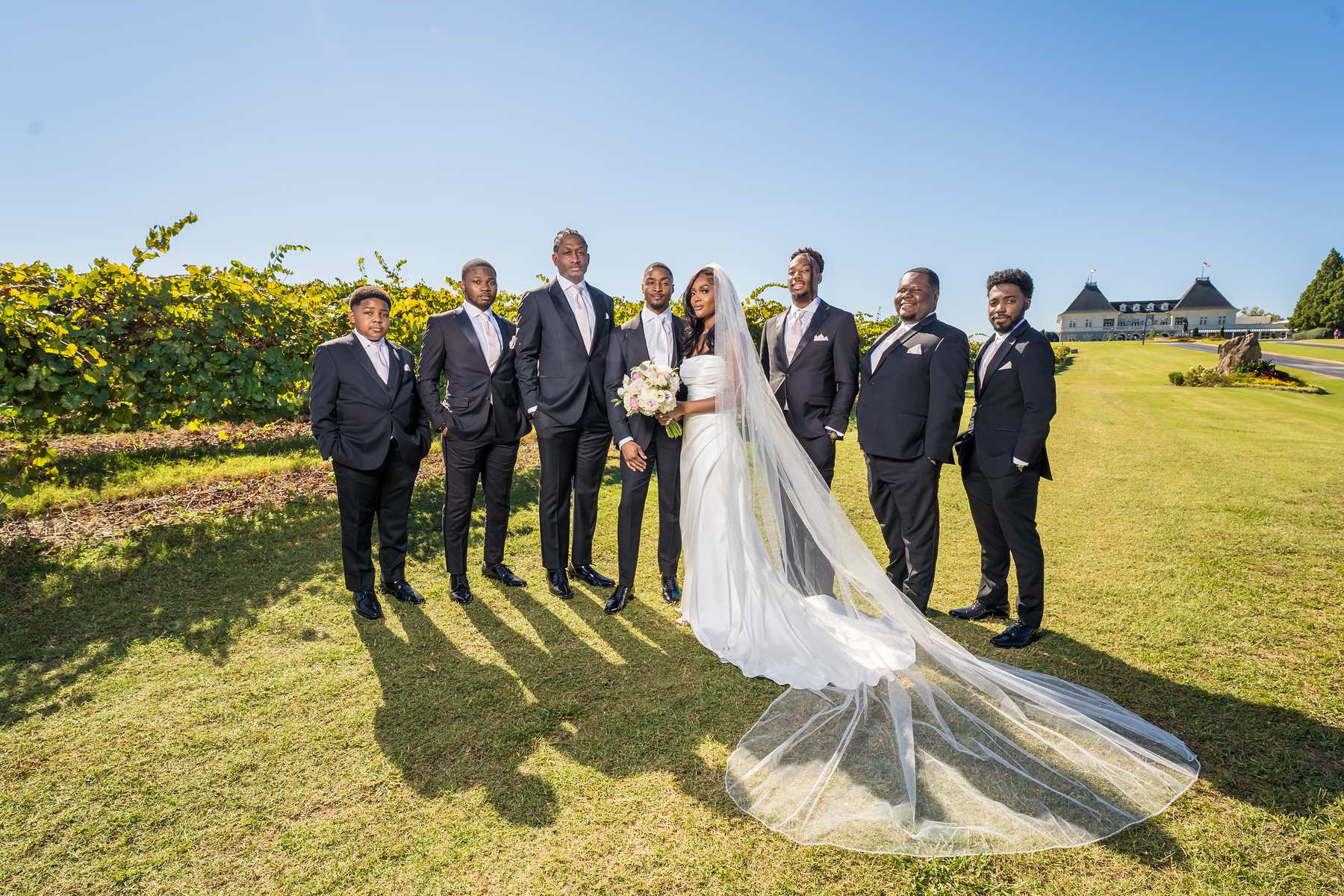 Bride stands with the groomsmen in black tuxedos, her long veil spread across the vineyard lawn