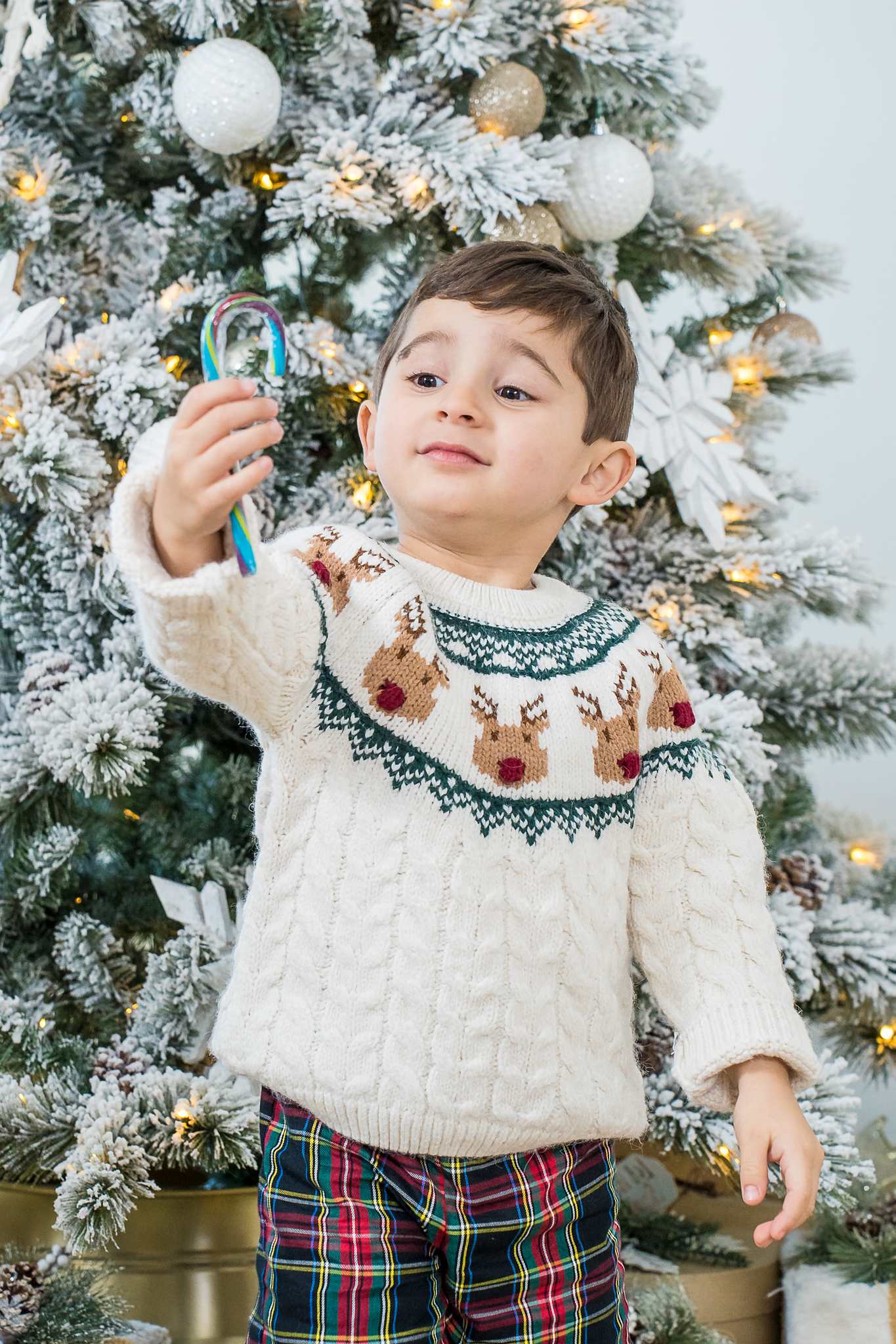 Toddler in a cream fair isle sweater and plaid shorts in front of a Christmas tree