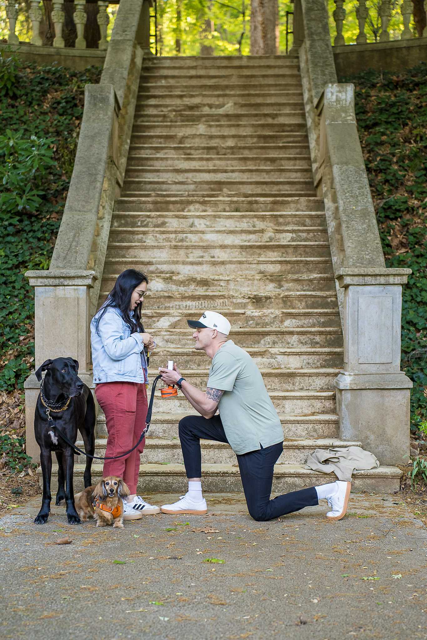 Proposal at the stone staircase at Cator Woolford Gardens with a black Great Dane and a small dog watching