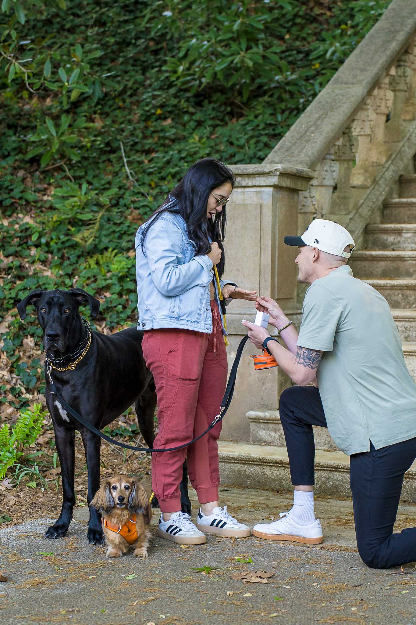 Man on one knee opening a ring box while the couple's Great Dane and small dog stand close by at Cator Woolford Gardens