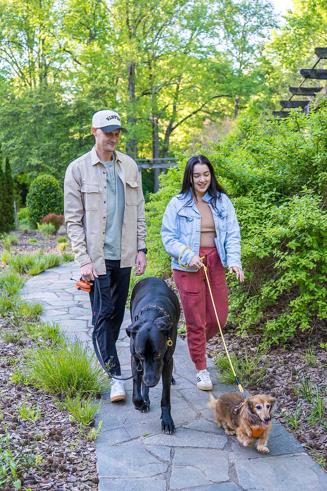 Couple walking their Great Dane and small dog along a winding stone garden path at Cator Woolford Gardens