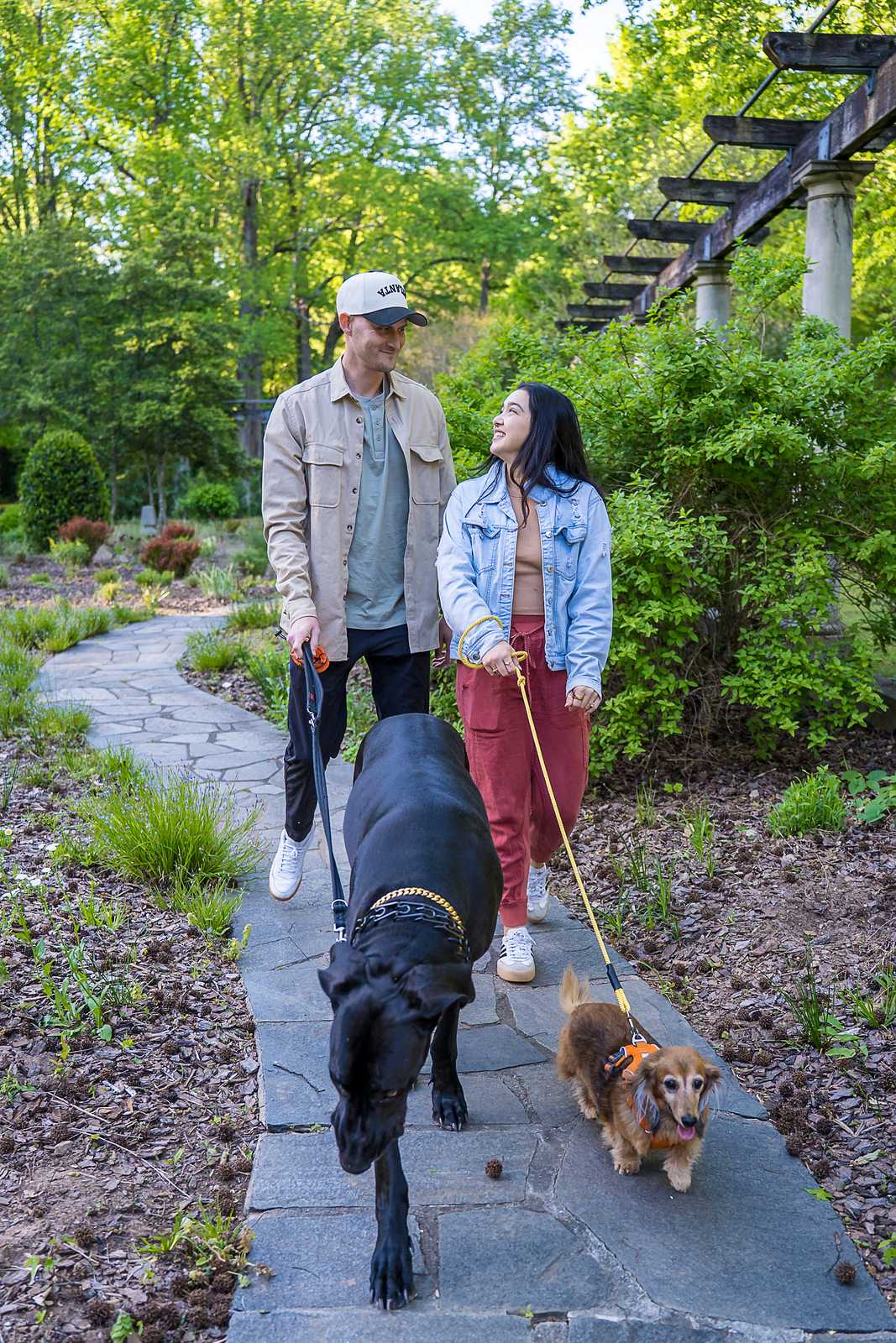 Couple strolling a stone path lined with plantings with their two dogs at Cator Woolford Gardens