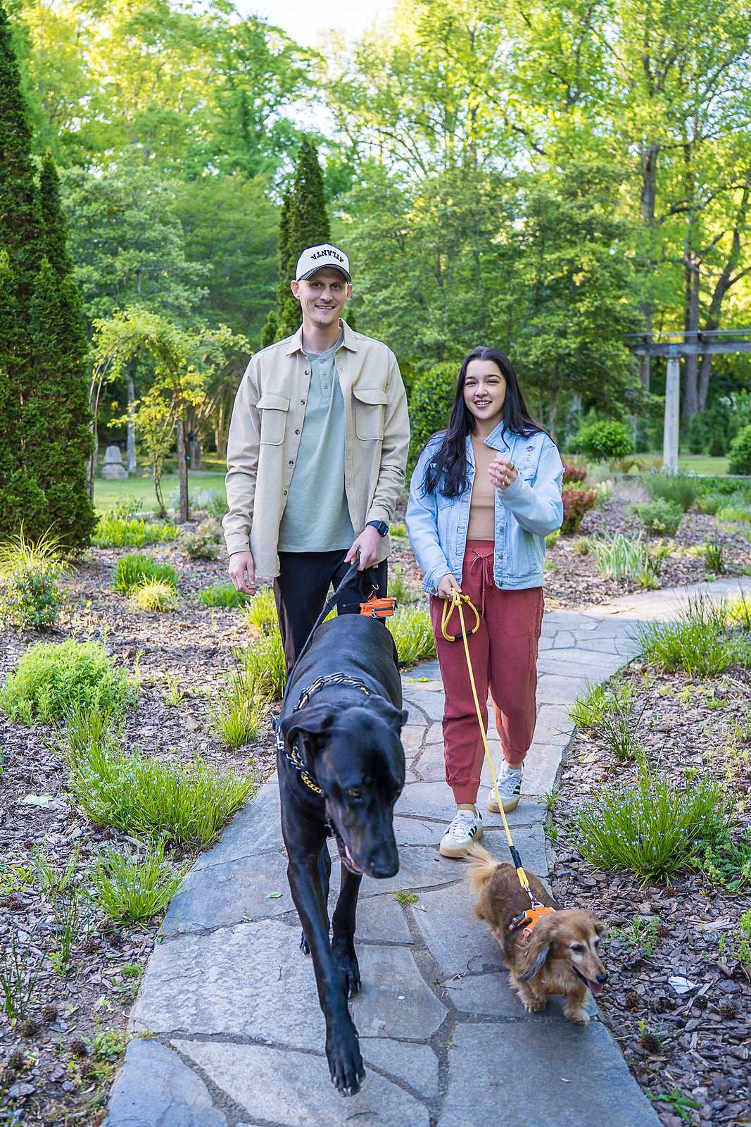 Black Great Dane leading the way down a garden path at Cator Woolford Gardens with the couple and small dog behind