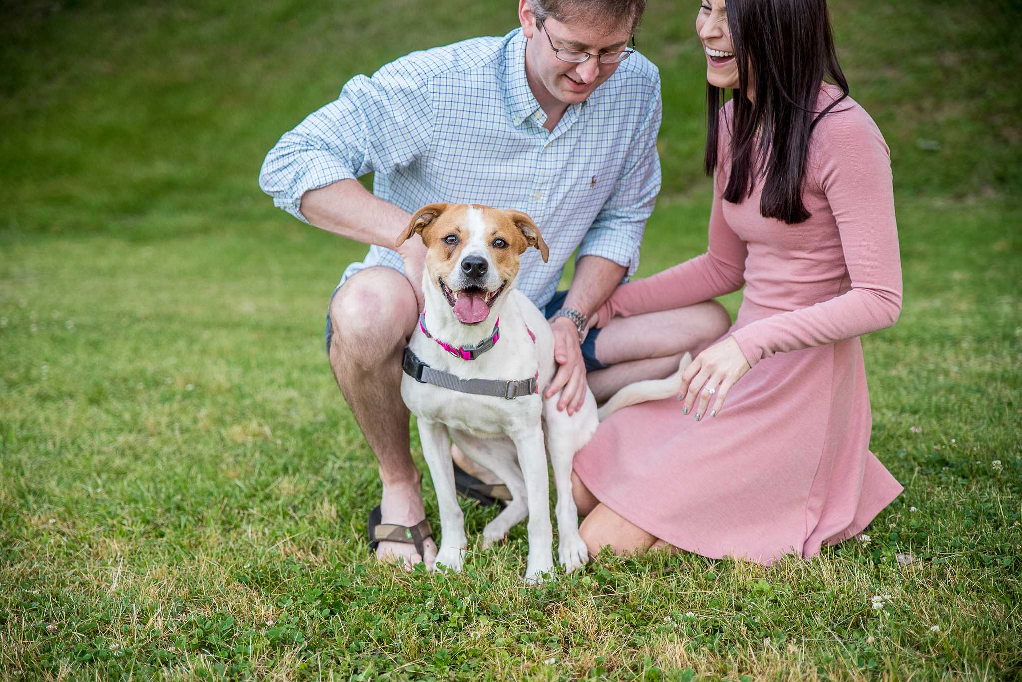 Couple petting their dog on the lawn during a pet-friendly portrait session at Piedmont Park