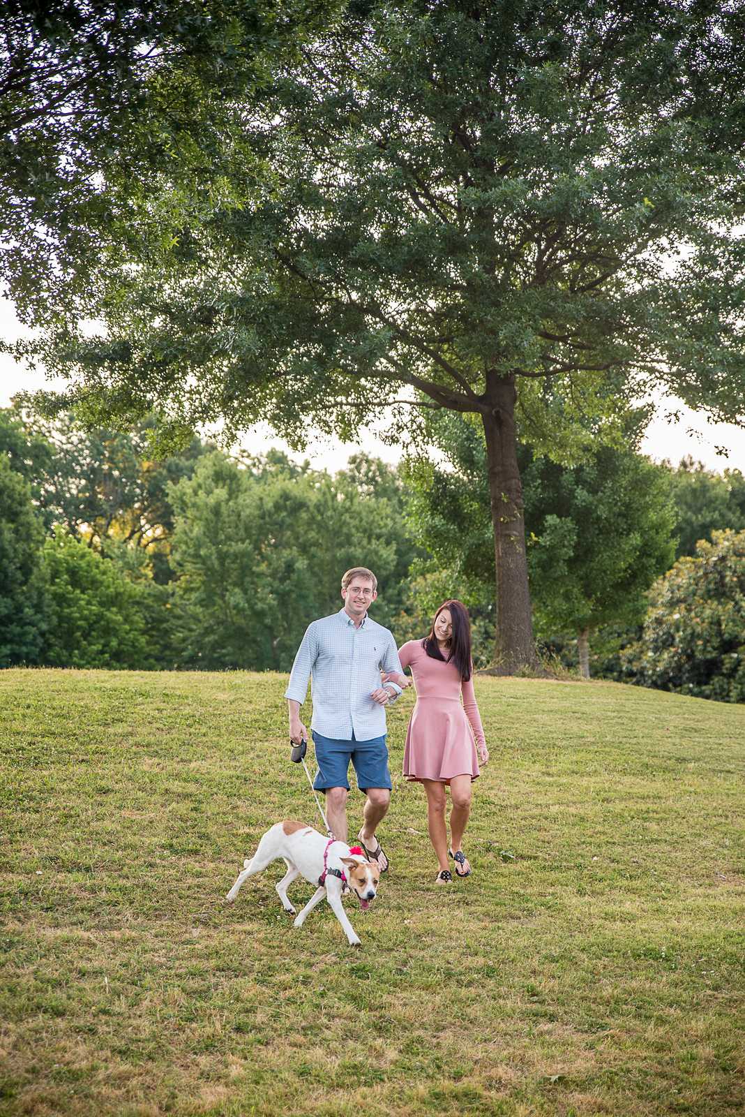 Couple walking their dog across an open lawn under a large shade tree at Piedmont Park