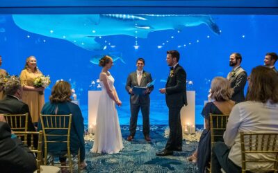 Georgia Aquarium Wedding: Photos, Event Spaces and Planning Tips