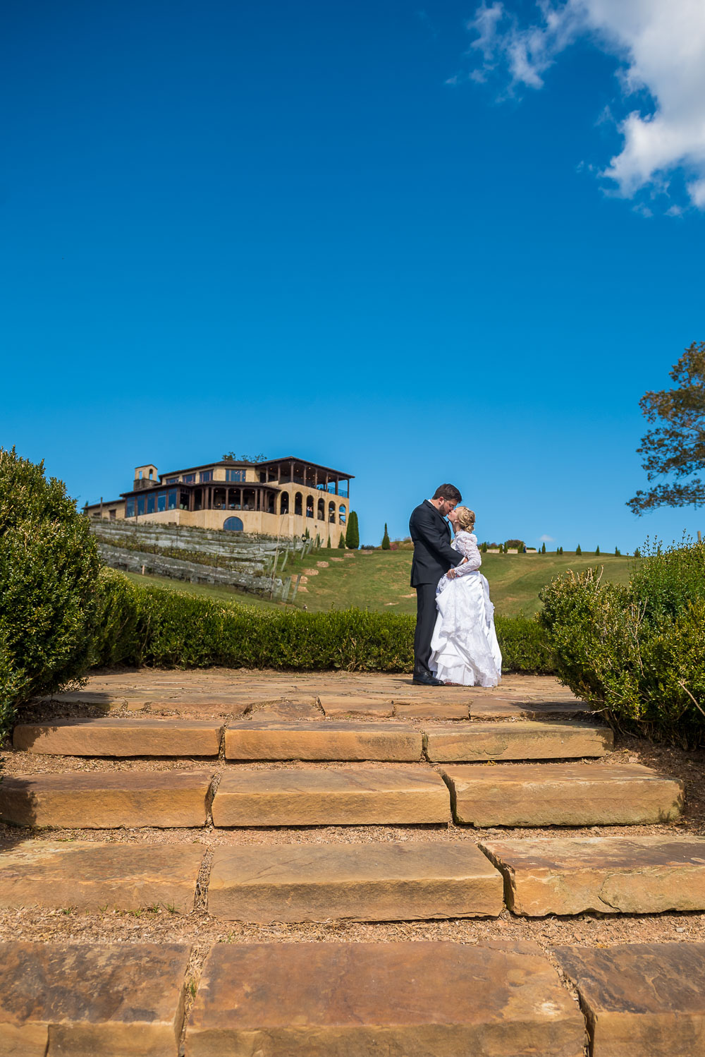Montaluce Winery Wedding Photos with bride and groom