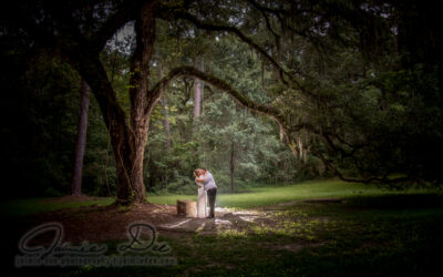 Sheldon Church Ruins Weddings | Atlanta Wedding Photography