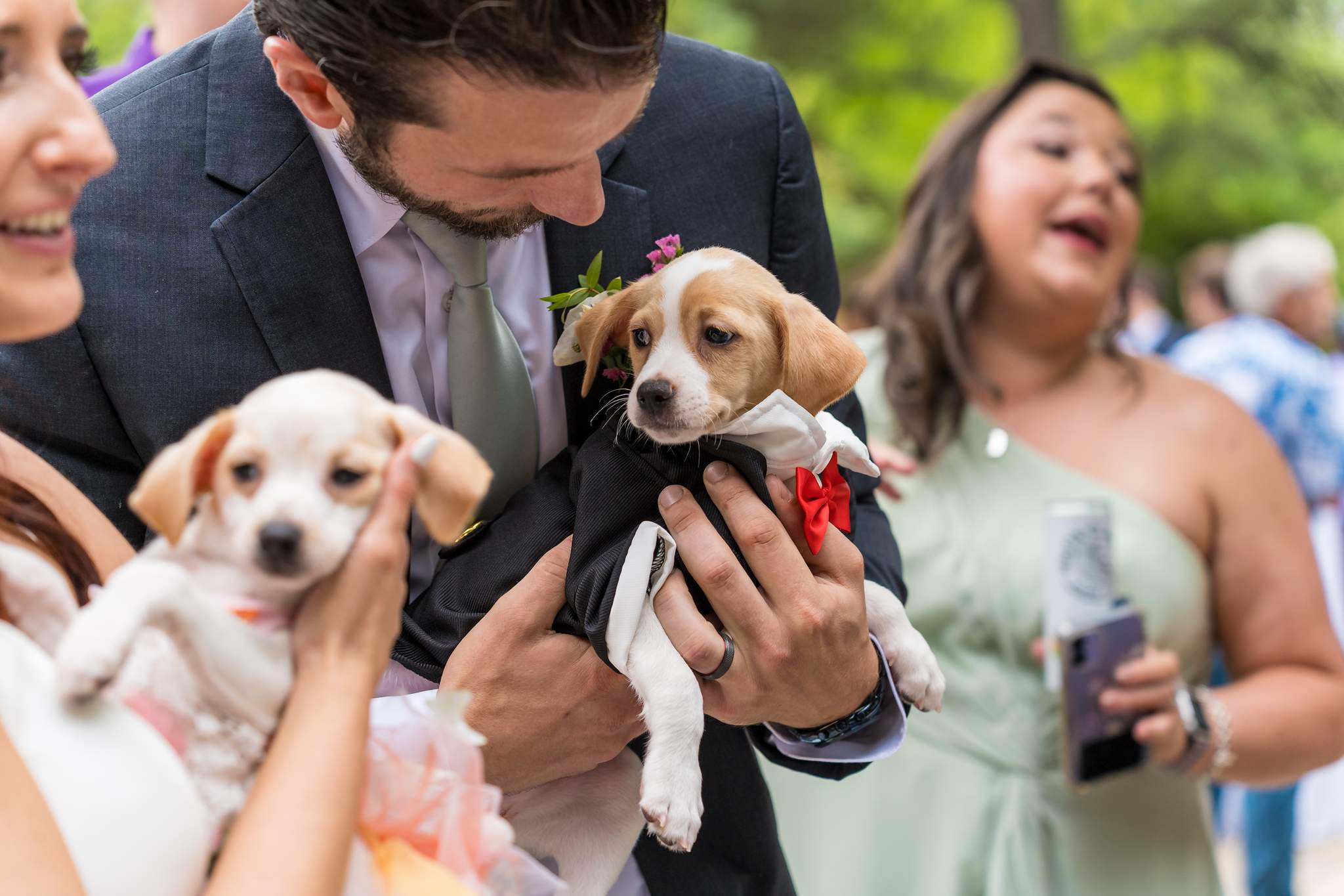 Groom and a guest holding adoptable puppies during cocktail hour at Shiloh Gardens