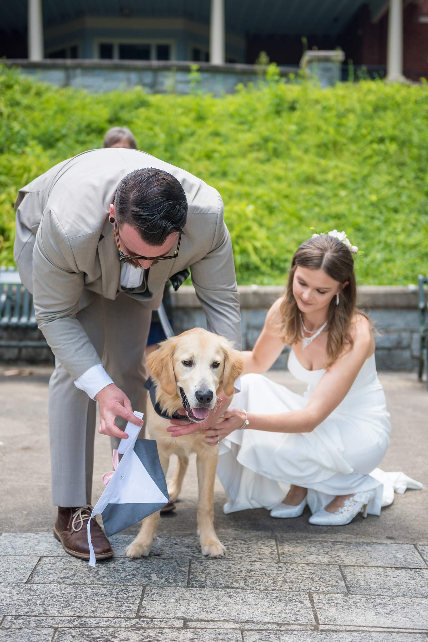 Golden retriever puppy grins as the bride and groom fasten its tuxedo bib and bow tie