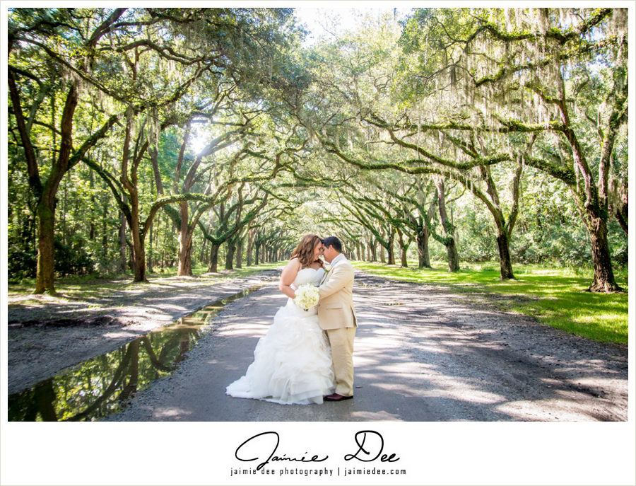 wormsloe plantation wedding pictures | Atlanta Wedding Photograp