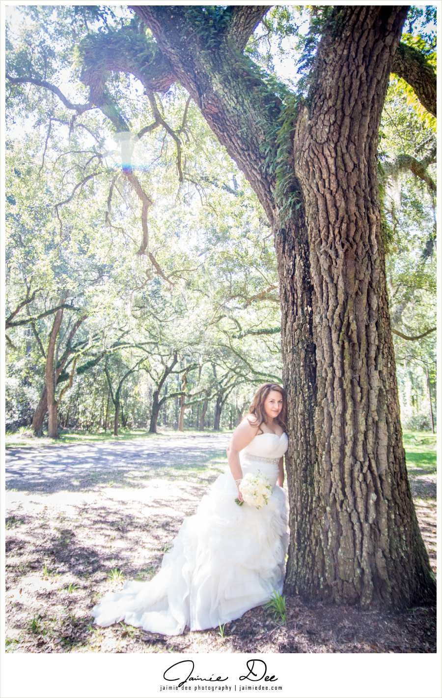 wormsloe plantation wedding pictures | Atlanta Wedding Photograp